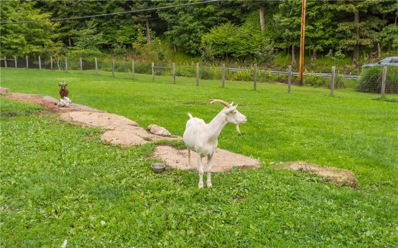 521 McClelland Road, Finleyville, 15332, ,Farm-acreage-lot,For Sale,shed structures,McClelland Road,1772064