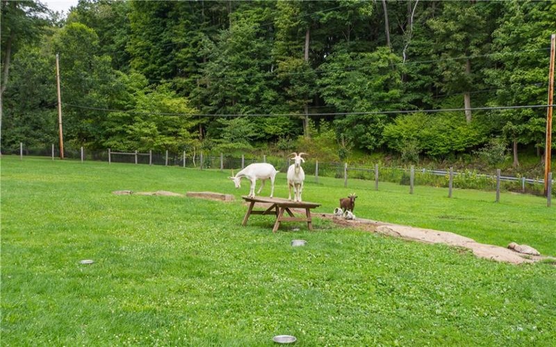 521 McClelland Road, Finleyville, 15332, ,Farm-acreage-lot,For Sale,shed structures,McClelland Road,1772064