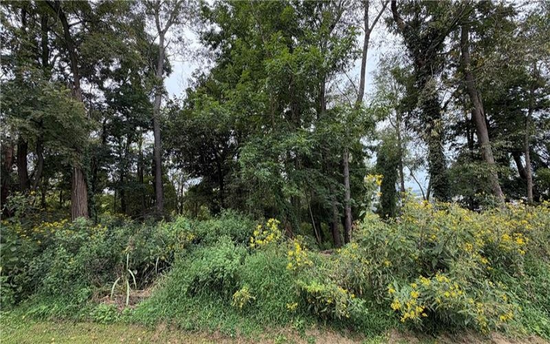 0 West McMurray, Mcmurray, 15317, ,Farm-acreage-lot,For Sale,West McMurray,1771985
