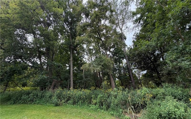 0 West McMurray, Mcmurray, 15317, ,Farm-acreage-lot,For Sale,West McMurray,1771985