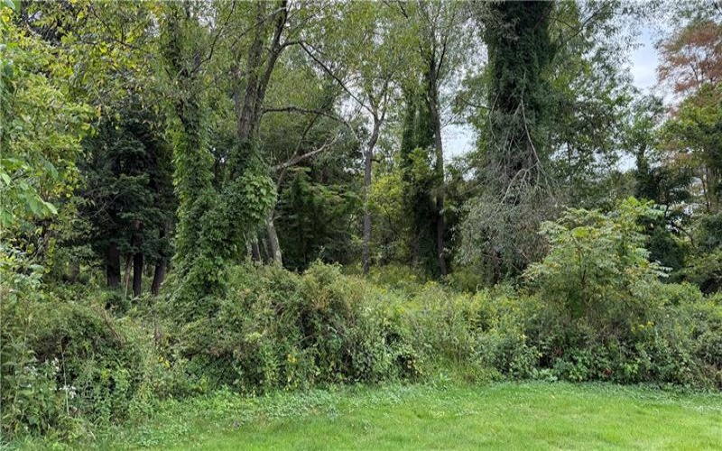 0 West McMurray, Mcmurray, 15317, ,Farm-acreage-lot,For Sale,West McMurray,1771985