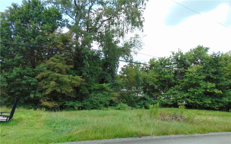 1021 Monongahela St, Rostraver Township, 15012, ,Farm-acreage-lot,For Sale,Monongahela St,1772382