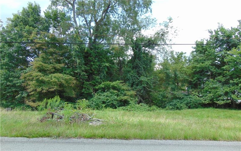 1021 Monongahela St, Rostraver Township, 15012, ,Farm-acreage-lot,For Sale,Monongahela St,1772382