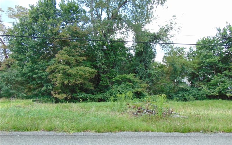 1021 Monongahela St, Rostraver Township, 15012, ,Farm-acreage-lot,For Sale,Monongahela St,1772382