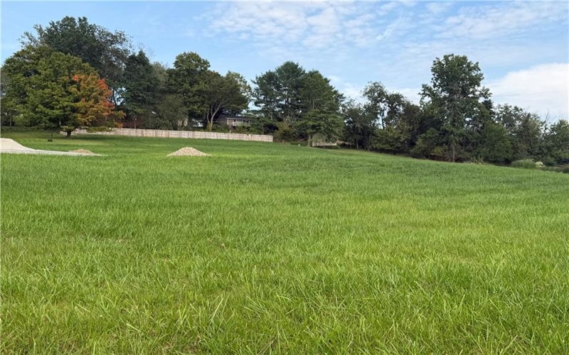 205 McClelland, Canonsburg, 15317, ,Farm-acreage-lot,For Sale,McClelland,1772976