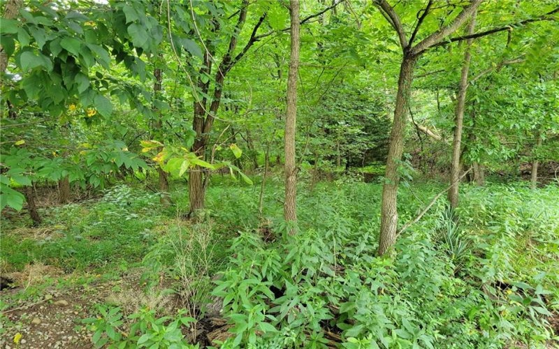 Lot 5 and 5A Brookmere Drive, Greensburg, 15601, ,Farm-acreage-lot,For Sale,Brookmere Drive,1773295
