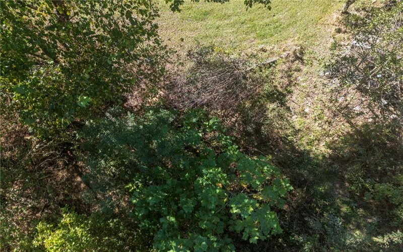 0 Pine St, East Bethlehem, 15322, ,Farm-acreage-lot,For Sale,Pine St,1773419