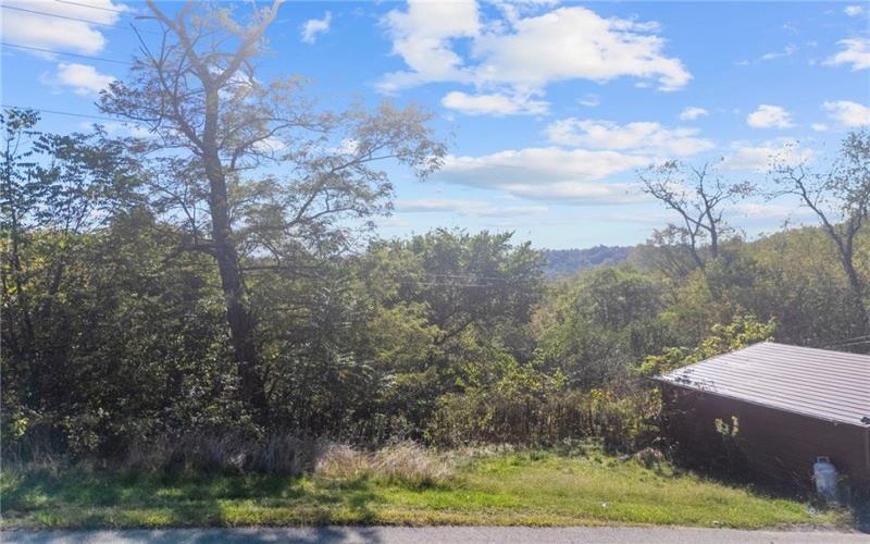 0 Pine St, East Bethlehem, 15322, ,Farm-acreage-lot,For Sale,Pine St,1773419