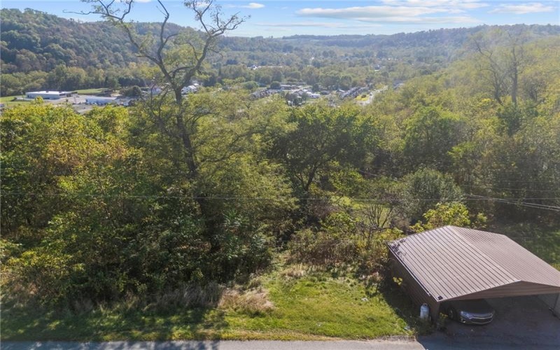 0 Pine St, East Bethlehem, 15322, ,Farm-acreage-lot,For Sale,Pine St,1773419