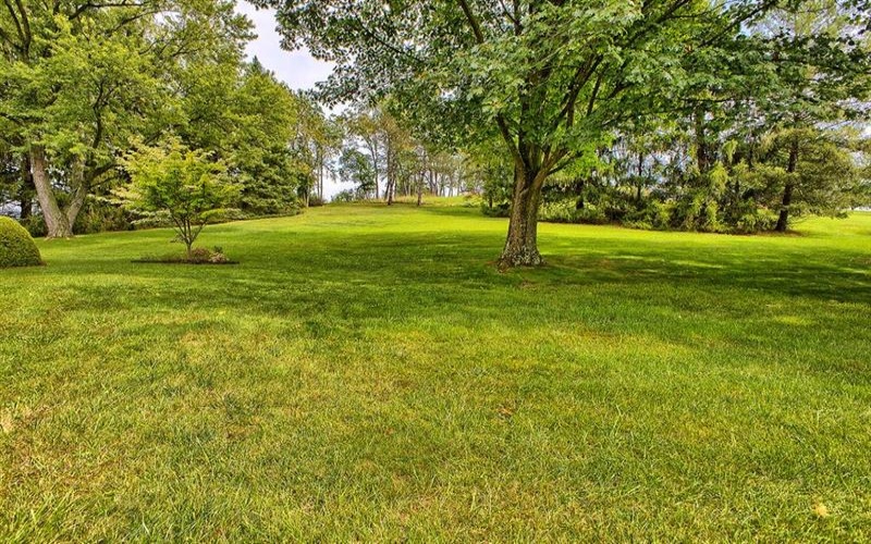 313 Patterson Lane, Rostraver Township, 15012, 3 Bedroom Bedrooms, 9 Room Rooms,1.1 BathroomBathrooms,Residential,For Sale,Patterson Lane,1773682