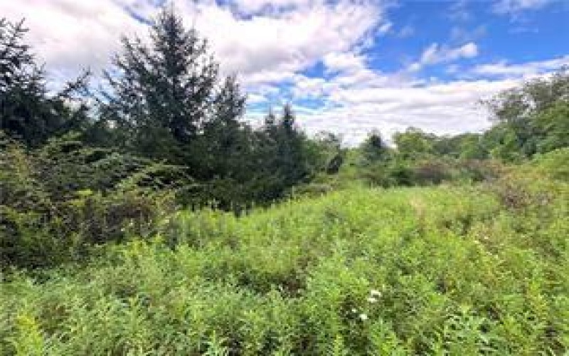182 Palm Court, Jeannette, 15644, ,Farm-acreage-lot,For Sale,Palm Court,1773947