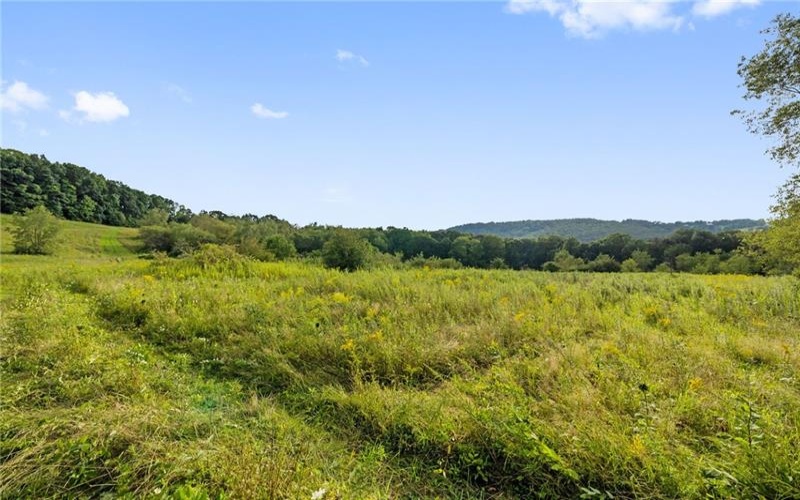 0 Grist Mill Ln, Champion, 15622, ,Farm-acreage-lot,For Sale,n/a,Grist Mill Ln,1773899