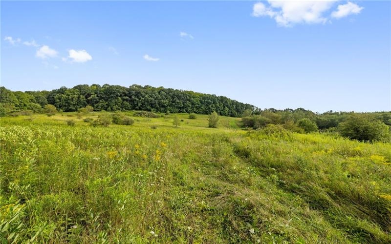 0 Grist Mill Ln, Champion, 15622, ,Farm-acreage-lot,For Sale,n/a,Grist Mill Ln,1773899