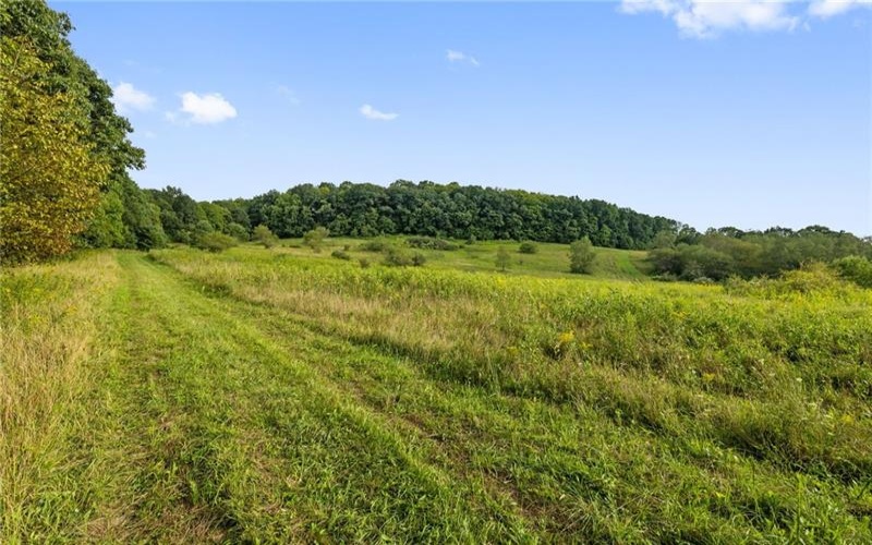 0 Grist Mill Ln, Champion, 15622, ,Farm-acreage-lot,For Sale,n/a,Grist Mill Ln,1773899