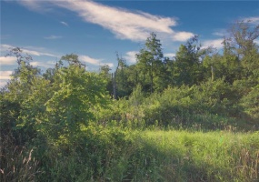 0 Henry Road, New Stanton, 15672, ,Farm-acreage-lot,For Sale,Henry Road,1774401