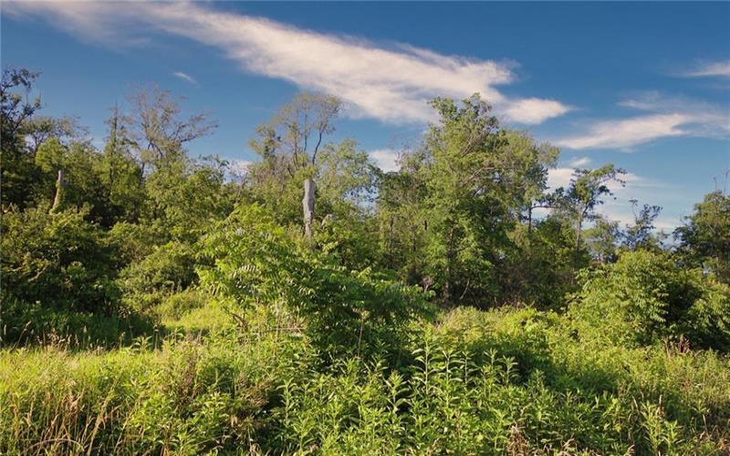 0 Henry Road, New Stanton, 15672, ,Farm-acreage-lot,For Sale,Henry Road,1774401