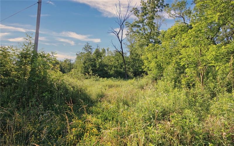 0 Henry Road, New Stanton, 15672, ,Farm-acreage-lot,For Sale,Henry Road,1774401