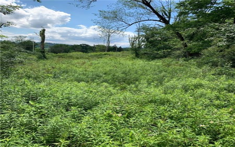 0 Henry Road, New Stanton, 15672, ,Farm-acreage-lot,For Sale,Henry Road,1774401