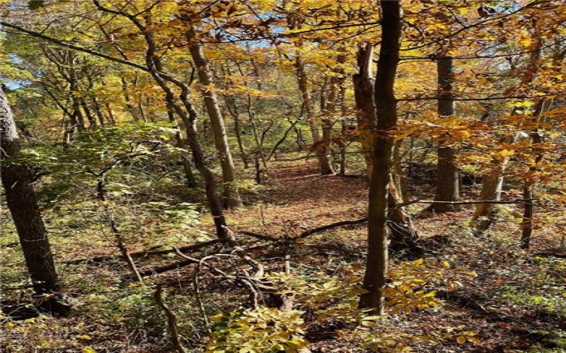 0 Henry Road, New Stanton, 15672, ,Farm-acreage-lot,For Sale,Henry Road,1774401