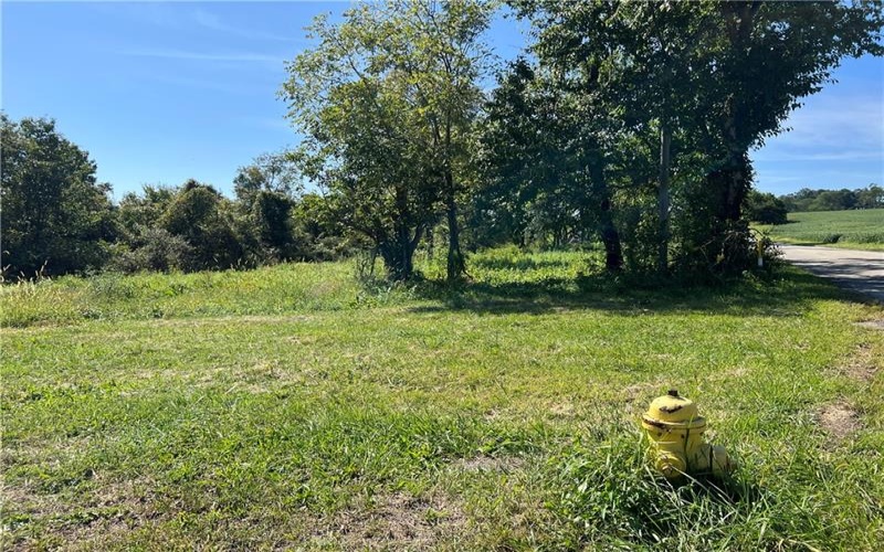 00 Brownfield Lane, Uniontown, 15401, ,Farm-acreage-lot,For Sale,Brownfield Lane,1774566