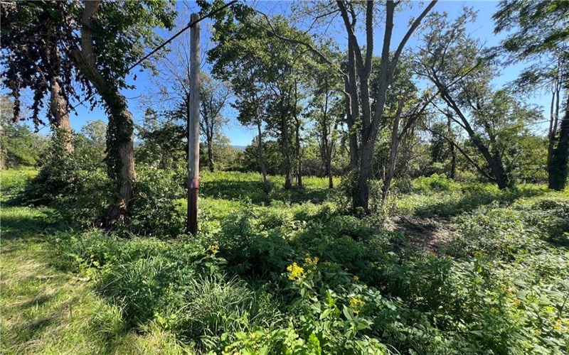00 Brownfield Lane, Uniontown, 15401, ,Farm-acreage-lot,For Sale,Brownfield Lane,1774566