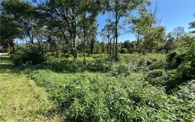 00 Brownfield Lane, Uniontown, 15401, ,Farm-acreage-lot,For Sale,Brownfield Lane,1774566