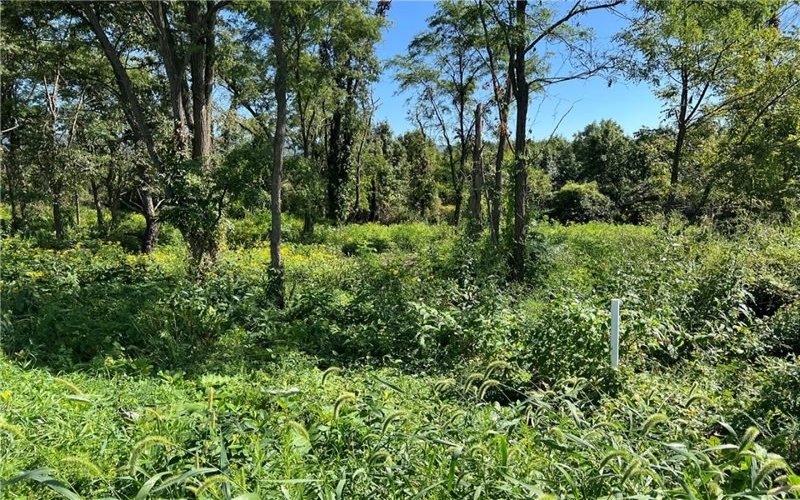 00 Brownfield Lane, Uniontown, 15401, ,Farm-acreage-lot,For Sale,Brownfield Lane,1774566