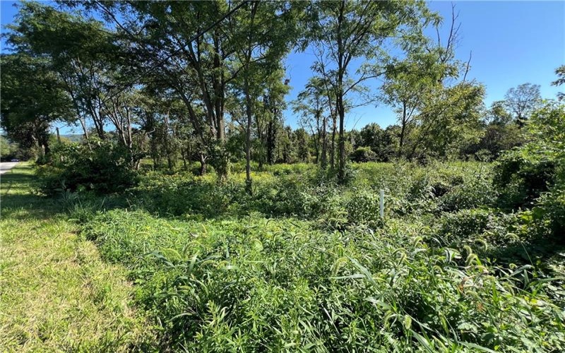 00 Brownfield Lane, Uniontown, 15401, ,Farm-acreage-lot,For Sale,Brownfield Lane,1774566