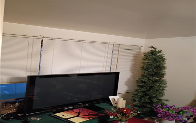 250 Green St, California, 15419, 12 Bedroom Bedrooms, 12 Room Rooms,4.2 BathroomBathrooms,Residential,For Sale,Green St,1774884