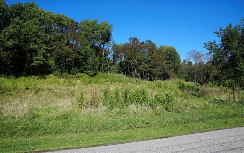 198 Church St, Star Junction, 15482, ,Farm-acreage-lot,For Sale,Church St,1774771