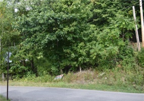 31 Smith Place, Canonsburg, 15317, ,Farm-acreage-lot,For Sale,Smith Place,1775272