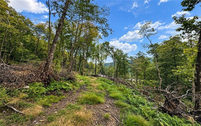 0 US Route 30, Laughlintown, 15655, ,Farm-acreage-lot,For Sale,US Route 30,1775338
