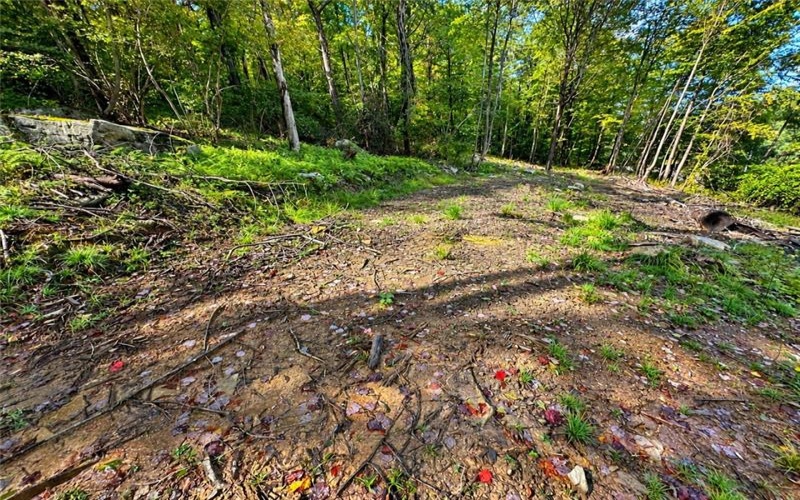 0 US Route 30, Laughlintown, 15655, ,Farm-acreage-lot,For Sale,US Route 30,1775338