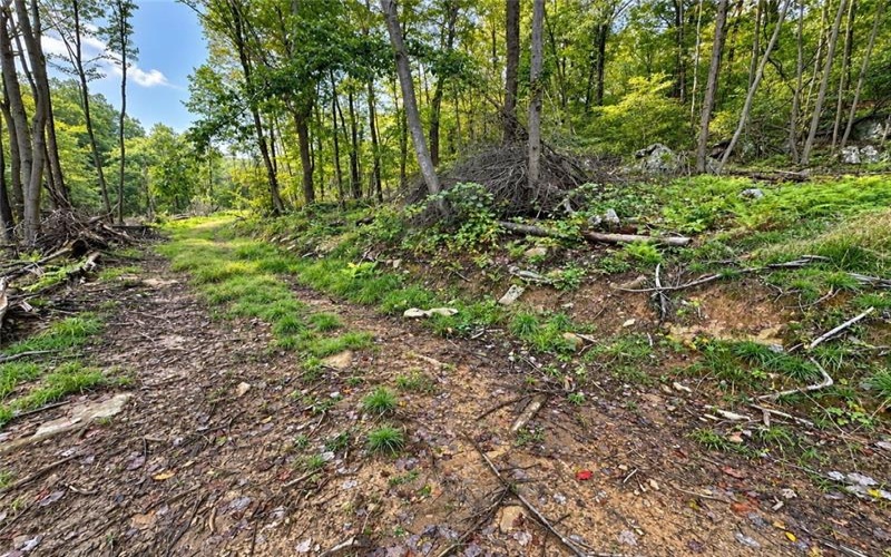0 US Route 30, Laughlintown, 15655, ,Farm-acreage-lot,For Sale,US Route 30,1775338