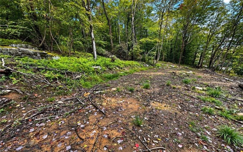 0 US Route 30, Laughlintown, 15655, ,Farm-acreage-lot,For Sale,US Route 30,1775338