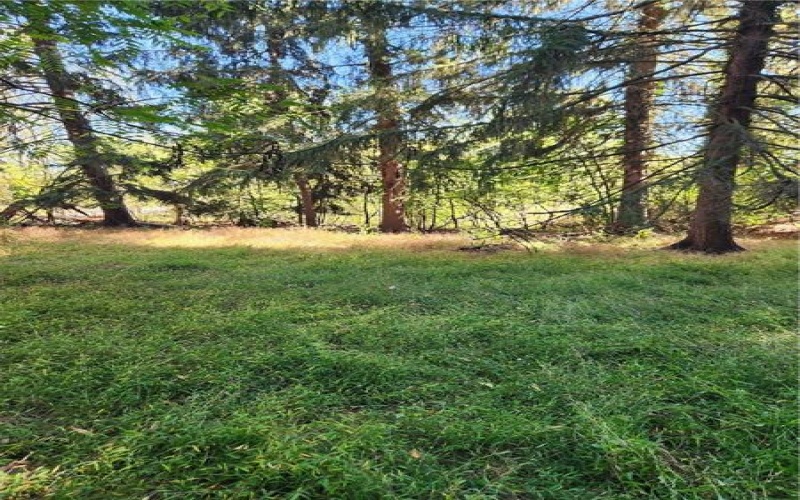 0 Broadview Drive, 15639-1011, 15672, ,Farm-acreage-lot,For Sale,Broadview Drive,1775863