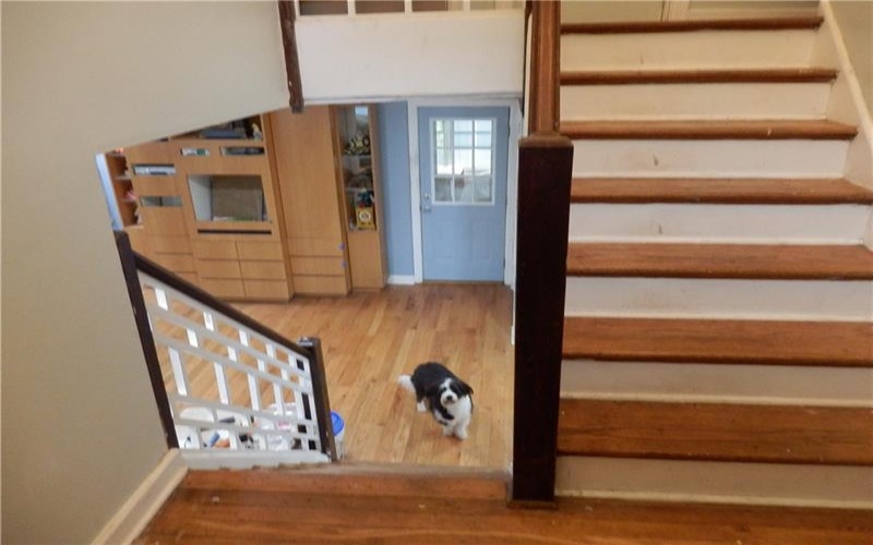 119 Keppler Dr, Johnstown, 15905, 3 Bedroom Bedrooms, ,1.1 BathroomBathrooms,Residential,For Sale,Keppler Dr,1775892