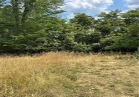 Lot 6 Wylie, Houston, 15342, ,Farm-acreage-lot,For Sale,None,Wylie,1775986