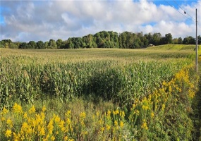 W Bakersville Edie Road, Somerset, 15501, ,Farm-acreage-lot,For Sale,Bakersville Edie Road,1776276