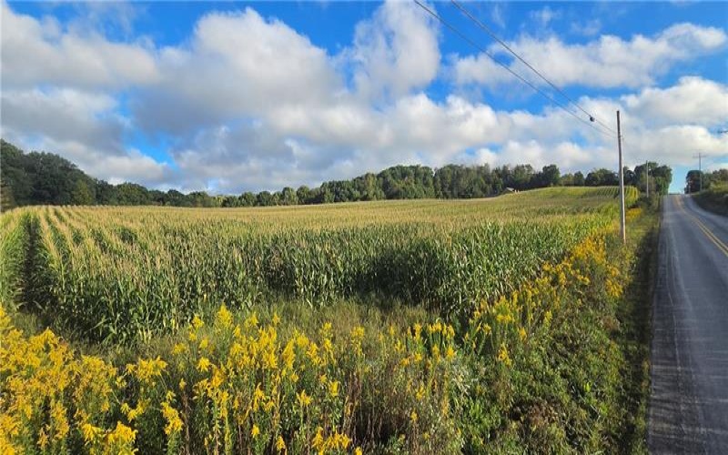 W Bakersville Edie Road, Somerset, 15501, ,Farm-acreage-lot,For Sale,Bakersville Edie Road,1776276