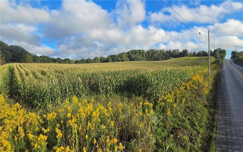 W Bakersville Edie Road, Somerset, 15501, ,Farm-acreage-lot,For Sale,Bakersville Edie Road,1776276