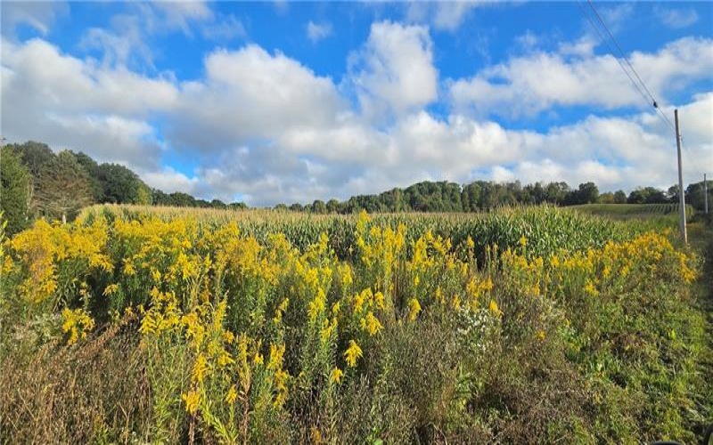 W Bakersville Edie Road, Somerset, 15501, ,Farm-acreage-lot,For Sale,Bakersville Edie Road,1776276