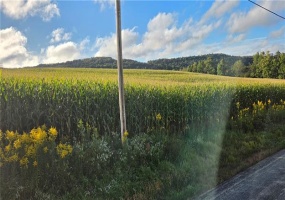 00 Bakersville Edie Road, Somerset, 15501, ,Farm-acreage-lot,For Sale,Bakersville Edie Road,1776405