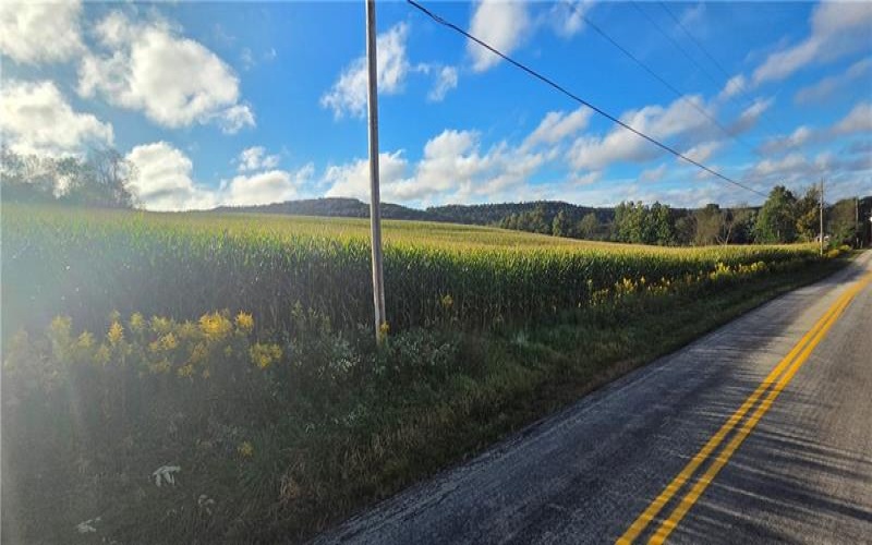 00 Bakersville Edie Road, Somerset, 15501, ,Farm-acreage-lot,For Sale,Bakersville Edie Road,1776405