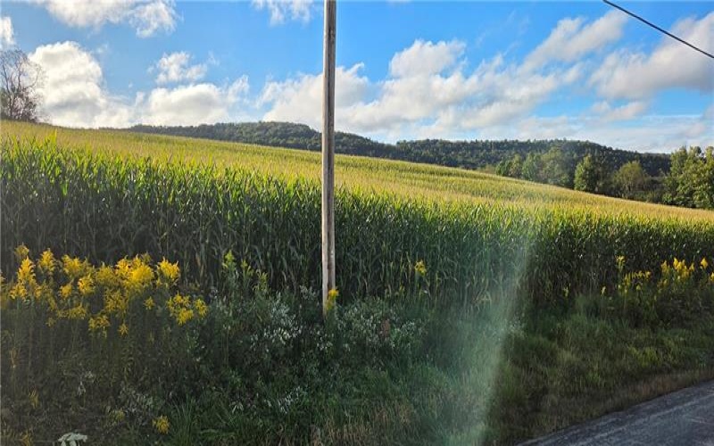00 Bakersville Edie Road, Somerset, 15501, ,Farm-acreage-lot,For Sale,Bakersville Edie Road,1776405