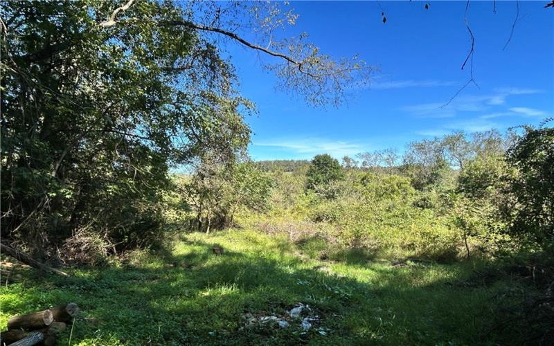 0 Steel St, Grindstone, 15442, ,Farm-acreage-lot,For Sale,Steel St,1774748