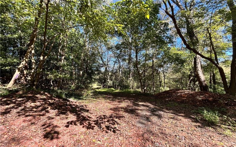 0 Steel St, Grindstone, 15442, ,Farm-acreage-lot,For Sale,Steel St,1774748