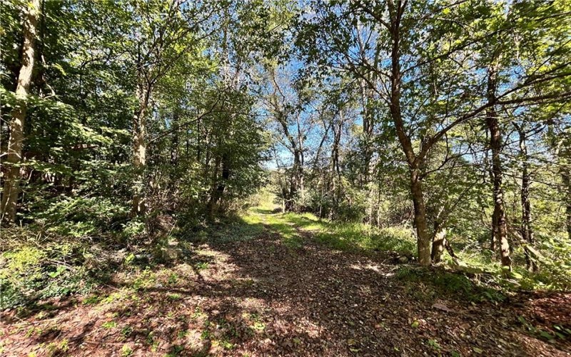 0 Steel St, Grindstone, 15442, ,Farm-acreage-lot,For Sale,Steel St,1774748