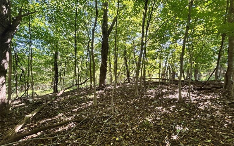 0 Steel St, Grindstone, 15442, ,Farm-acreage-lot,For Sale,Steel St,1774748