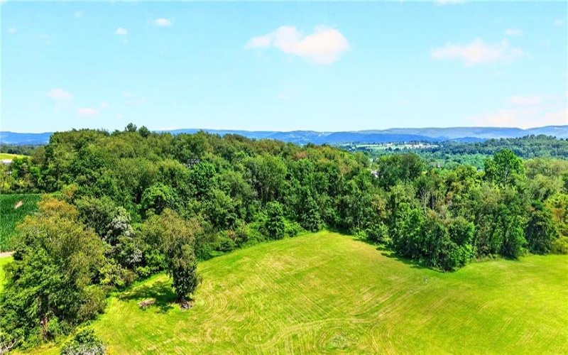 TBD Porter Avenue, Scottdale, 15683, ,Farm-acreage-lot,For Sale,Porter Avenue,1768986